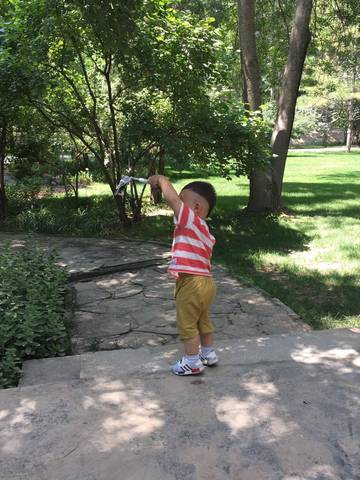 四月圈的各位小主 你家宝宝还有不会走的吗_大