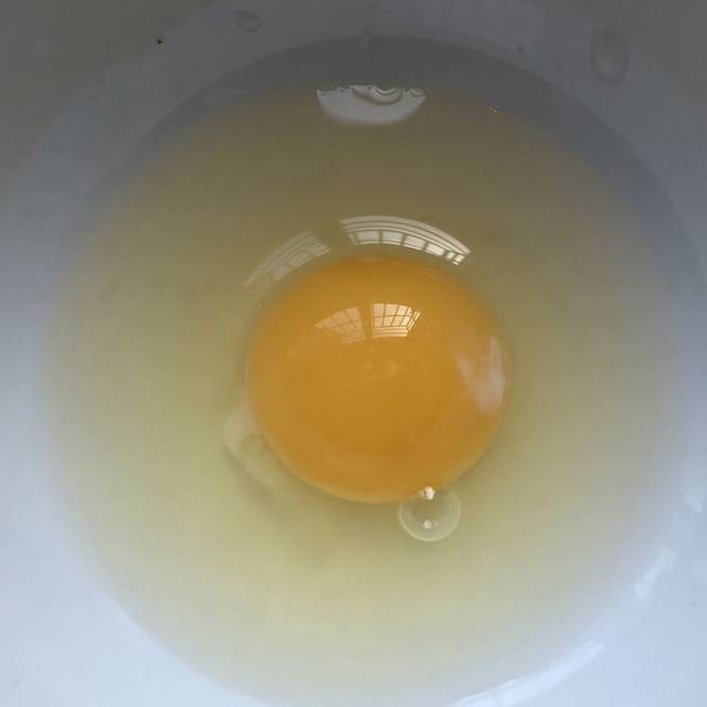 受精鸡蛋?