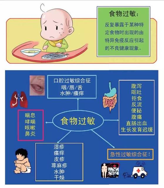 什么是食物过敏