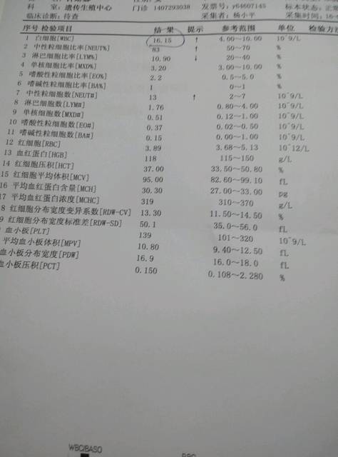 血常规检查白细胞偏高需要住院吗_怀孕21周,今
