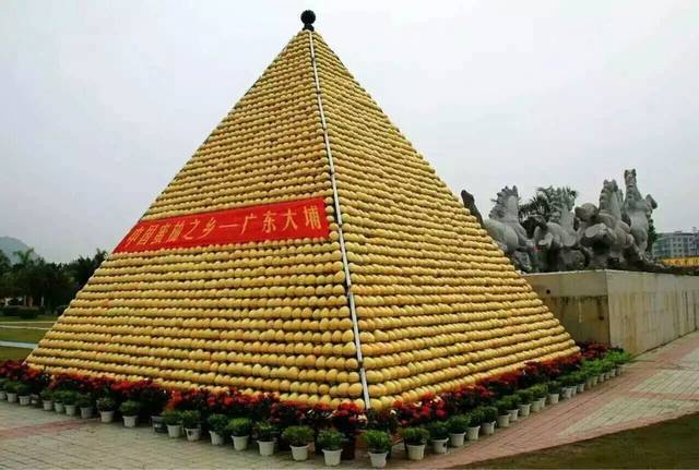 又到吃柚子的时节,怎么能少了中国蜜柚之乡的