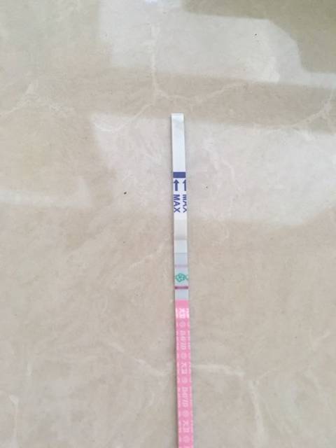 排卵期同房已经12天了测早早孕还是大白板 还有希望吗