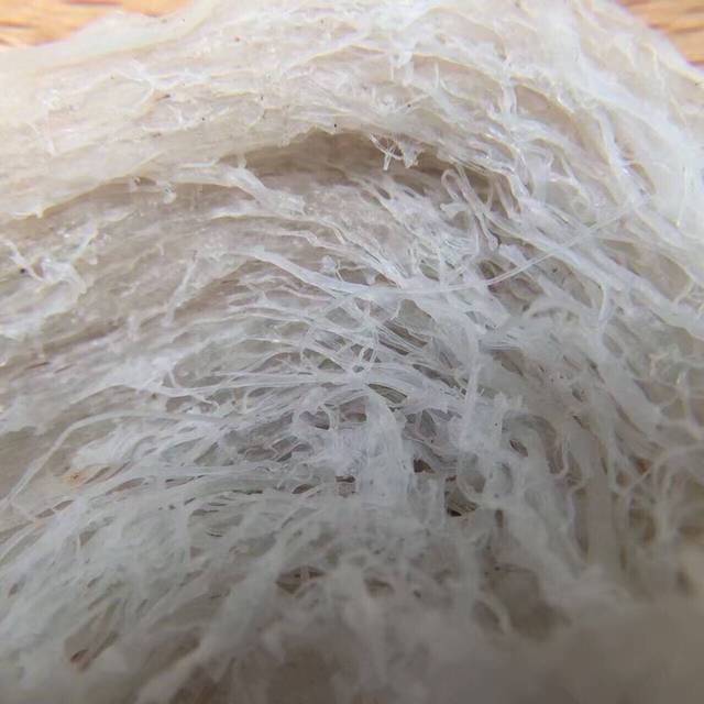 燕窝_请教宝妈们 燕窝哪个品牌好 济南哪里有