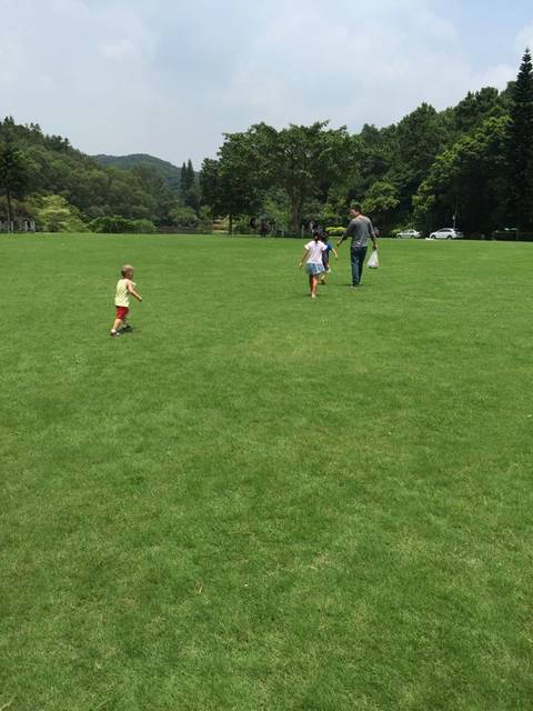 是不是只有我觉得彩礼就是买媳妇进门_很多娘