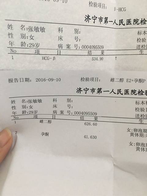 帮我看看孕酮和hcg_9月10日血hcg五百多孕酮