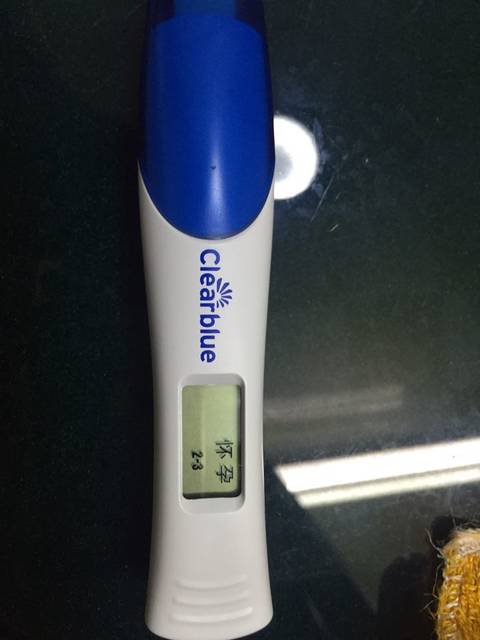 可丽蓝准不准!_排卵第12天 这几天试纸测一直
