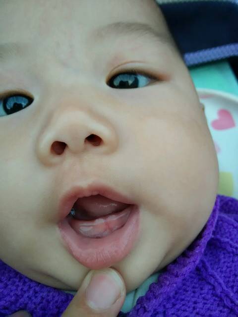 四月圈的宝宝长牙了吗_我家宝宝四个月十天长