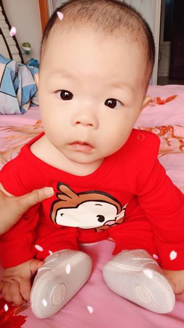 六个月了还坐不稳老是往前趴_我想看看六个月