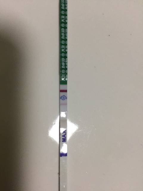 同房多久验孕棒测出来的,大家都来说说吧_虽然