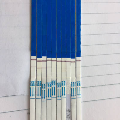 您好,8.24末次月经。周期近半年都35天。现在