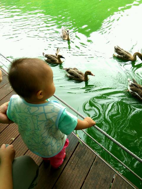 宝宝打了轮状病毒活疫苗,呕吐了_这个疫苗是口