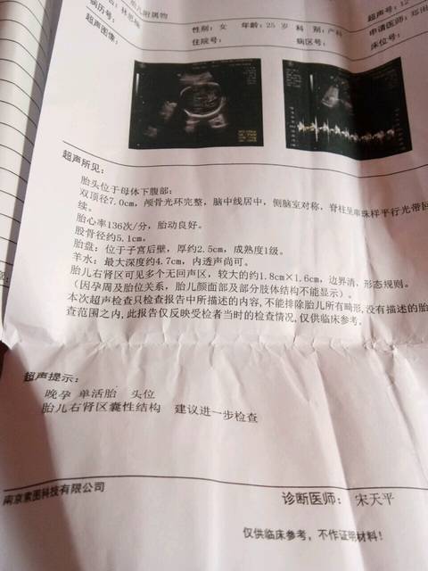 有宝妈 胎儿右肾囊肿吗_刚出炉的单子 猜男女