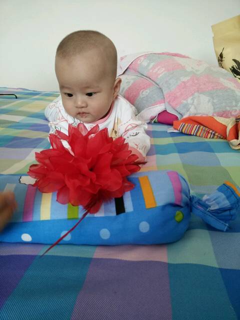 快六个月的宝宝抱着总爱趴着不爱抬头_宝宝快