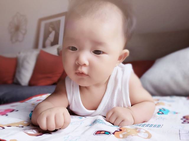 五个月的宝宝俯卧抬头都能抬多高了,上照片吧