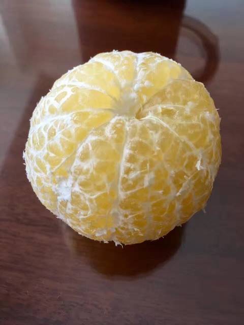 又是吃柑橘的季节了_最喜欢潮州柑橘,主要分布