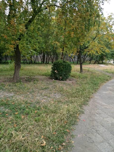 你们有我说的现象吗_怀孕六个多月胎动少怎么