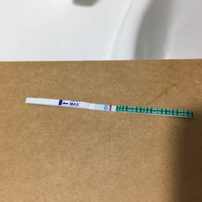 月经推迟8天,最后一次同房应该是十多天前,这