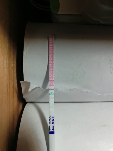 排卵后第十天,有望么_如题,排卵试纸表现,早早