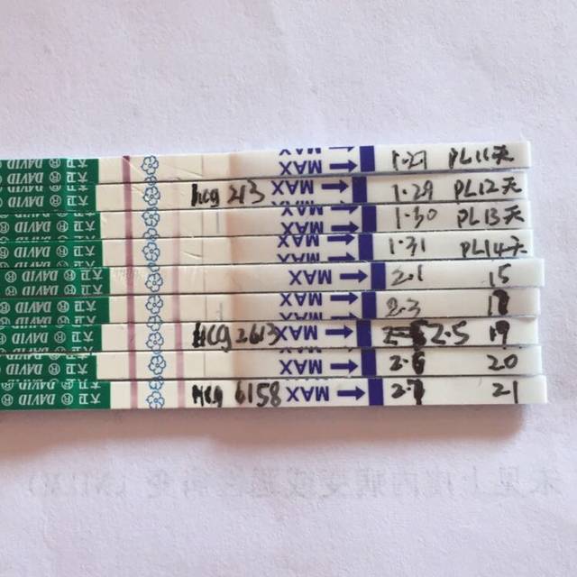 16.12.31末次翻倍归来晒试纸hcg对照图_1.16排卵_宝宝树