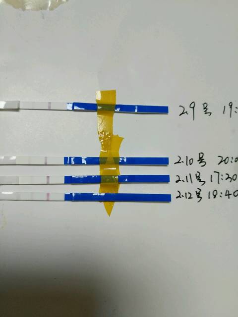 给我看看,怎么回事,备孕…谢谢