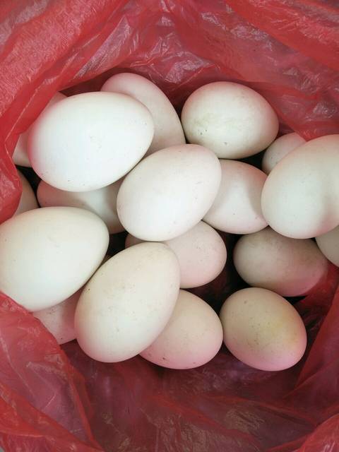孕妇吃鹅蛋有什么好处!_传说孕妇吃鹅蛋去胎毒