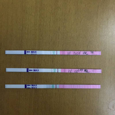 journal_insert_pic_681620215