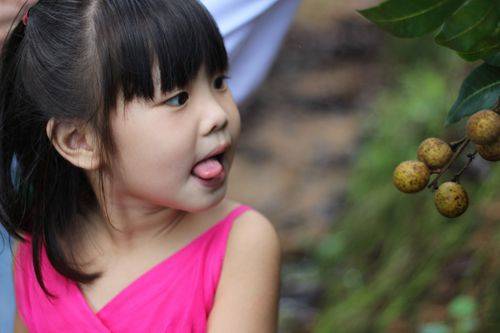 孕妇孩子都可以喝的龙眼酵素(蜜糖妈妈版,喝后