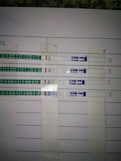 末次月经2月19_去医院查血要花多少钱
