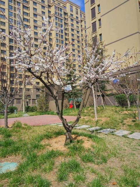 求助_孕妈妈们,待产包里有没有准备一次性内裤