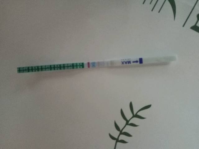 大家说是不是怀孕了_末次月经2月26号,颜色浅