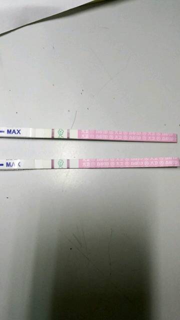 估计又没戏了_13号去检测卵泡,卵泡长到12mm