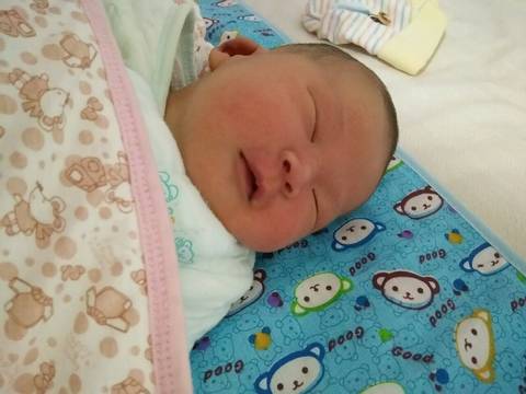 耳朵软骨会长好吗 急 急 急_我家宝宝现在一周