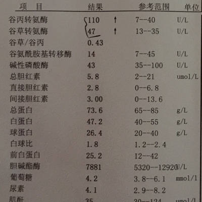 我怀孕三个多月了，谷丙转氨酶和谷草转氨酶这两项高是怎么回事，孕前查血都正常_育儿问答_宝宝树