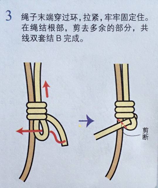 只用了一个编法共线双套结 