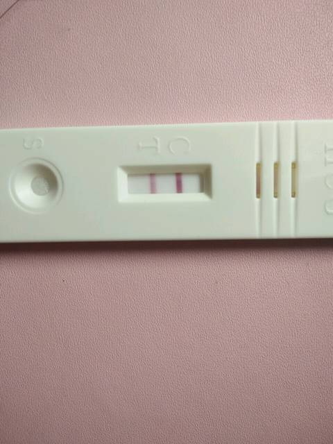 例假超期3天,晨尿早早孕试纸测出浅红,帮我看看是否是怀孕呢?