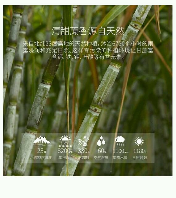 儿童爱吃糖是否会长胖,有什么影响?