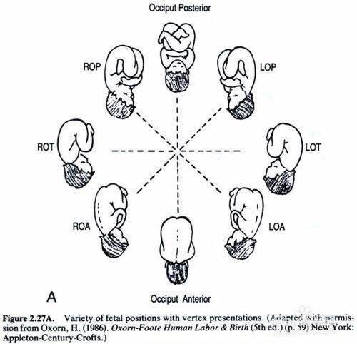 logo是什么意思_gdp什么意思(3)