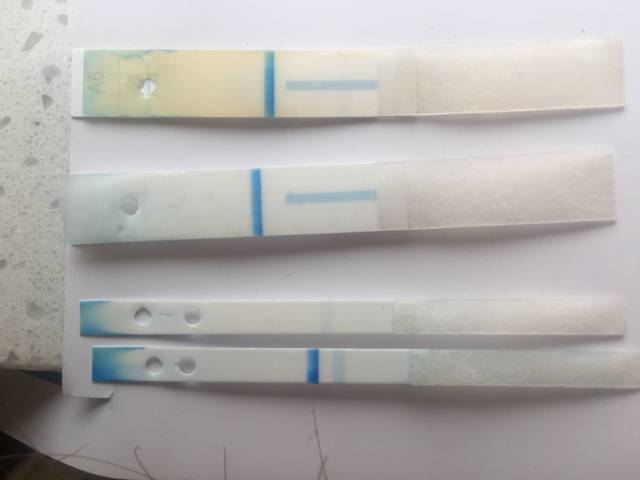 我把这几天的可丽蓝都拆开了,大家帮我看看_第