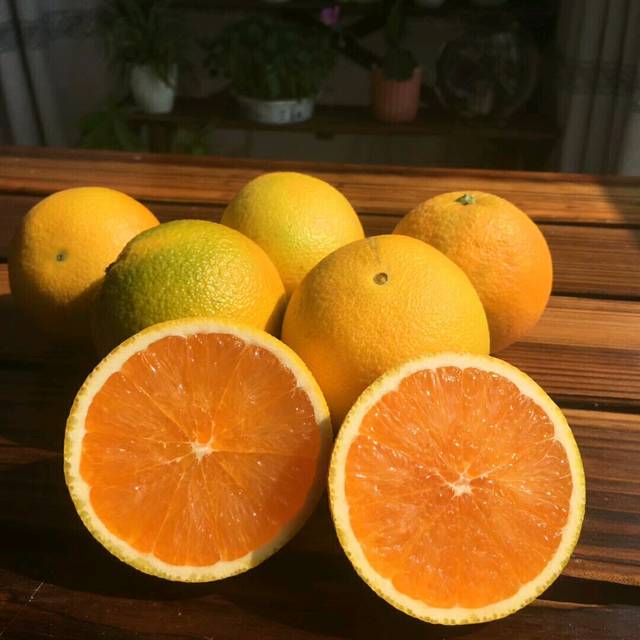 我的朋友圈有人卖这种橙子,结果我回他了一张