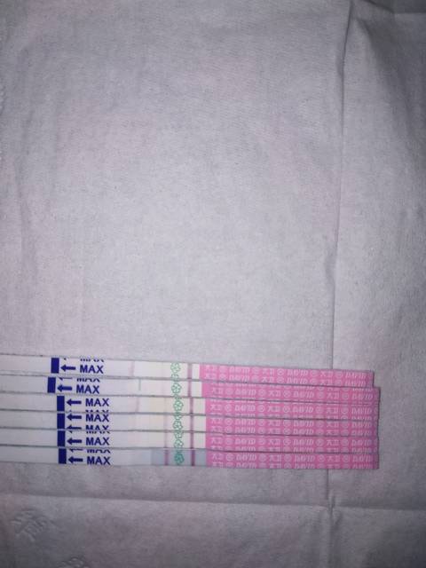 大家刚怀孕乳房都会胀痛吗?我乳房怎么什么感