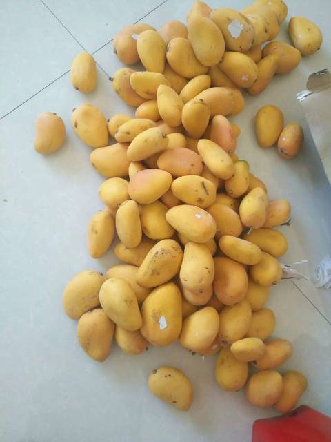 看看我买的小农台芒果