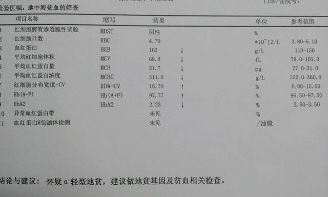 贫血检查