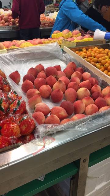 我怀的是小猴子吗?