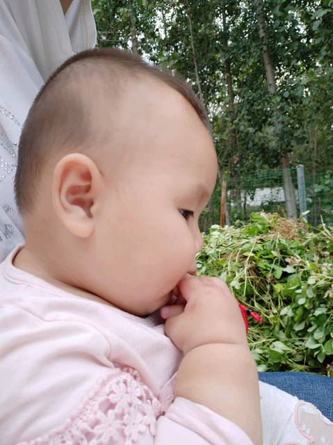 8个月宝宝头发少是缺什么啊