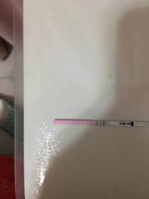journal_insert_pic_1125512358