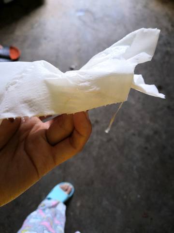 排卵期拉丝的,隔天又有世界同房这样是不是就没怀孕啊海底白带的大龙虾图片