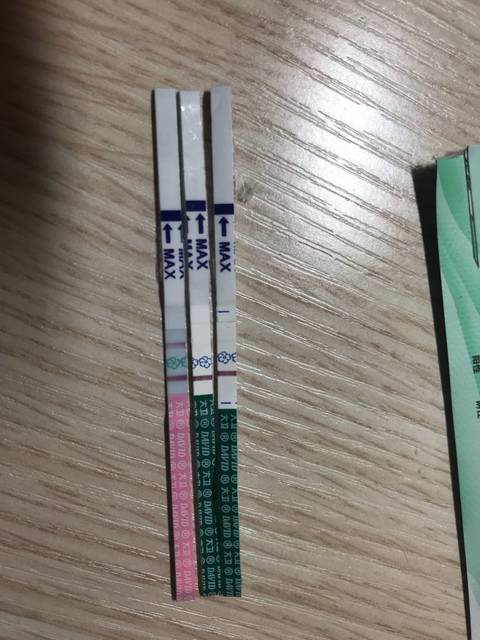 21号排,今早测的排卵试纸弱阳,早孕试纸我看了好久,是不是意念灰呀