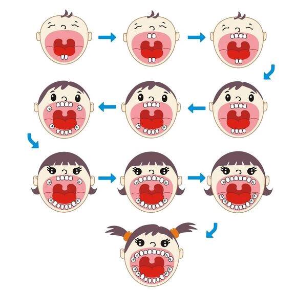 宝宝长牙的顺序是怎样的呢?
