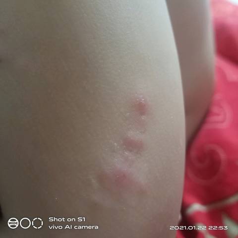 journal_insert_pic_1530549282