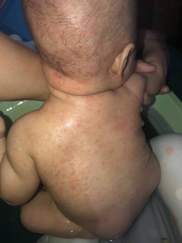 journal_insert_pic_1816298960